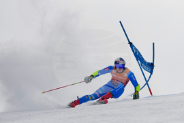 United States World Cup Giant Slalom Skiing