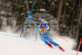United States World Cup Giant Slalom Skiing