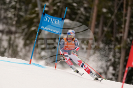 United States World Cup Giant Slalom Skiing