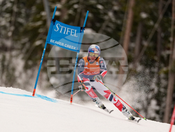 United States World Cup Giant Slalom Skiing