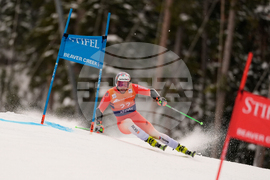 United States World Cup Giant Slalom Skiing