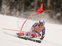 United States World Cup Giant Slalom Skiing