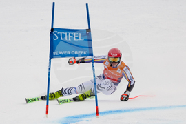 United States World Cup Giant Slalom Skiing