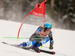United States World Cup Giant Slalom Skiing