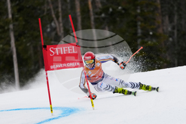 United States World Cup Giant Slalom Skiing