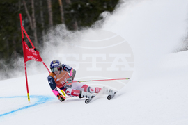 United States World Cup Giant Slalom Skiing
