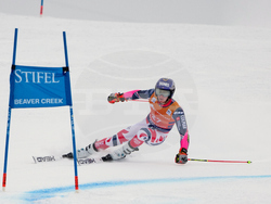 United States World Cup Giant Slalom Skiing