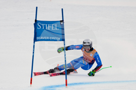 United States World Cup Giant Slalom Skiing