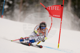 United States World Cup Giant Slalom Skiing