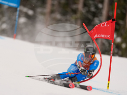 United States World Cup Giant Slalom Skiing