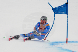 United States World Cup Giant Slalom Skiing