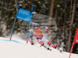 United States World Cup Giant Slalom Skiing