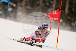 United States World Cup Giant Slalom Skiing