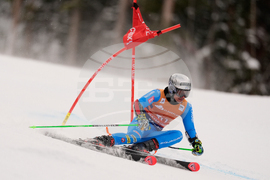 United States World Cup Giant Slalom Skiing