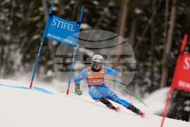 United States World Cup Giant Slalom Skiing