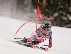 United States World Cup Giant Slalom Skiing
