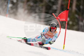 United States World Cup Giant Slalom Skiing