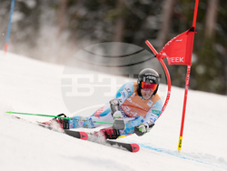 United States World Cup Giant Slalom Skiing