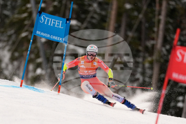 United States World Cup Giant Slalom Skiing