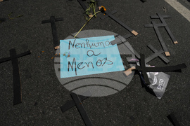 Brazil Femicide Protest