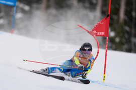 United States World Cup Giant Slalom Skiing