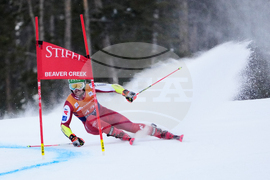 United States World Cup Giant Slalom Skiing
