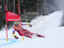 United States World Cup Giant Slalom Skiing