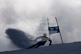 United States World Cup Giant Slalom Skiing