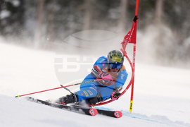United States World Cup Giant Slalom Skiing