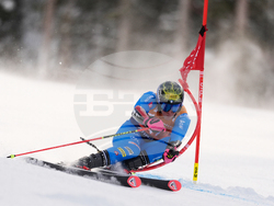 United States World Cup Giant Slalom Skiing