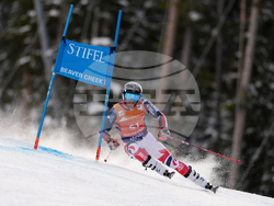 United States World Cup Giant Slalom Skiing