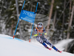United States World Cup Giant Slalom Skiing