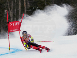 United States World Cup Giant Slalom Skiing