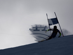 United States World Cup Giant Slalom Skiing