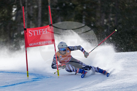 United States World Cup Giant Slalom Skiing