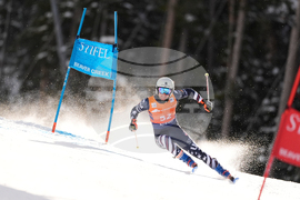 United States World Cup Giant Slalom Skiing