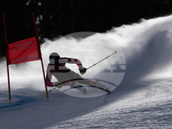United States World Cup Giant Slalom Skiing