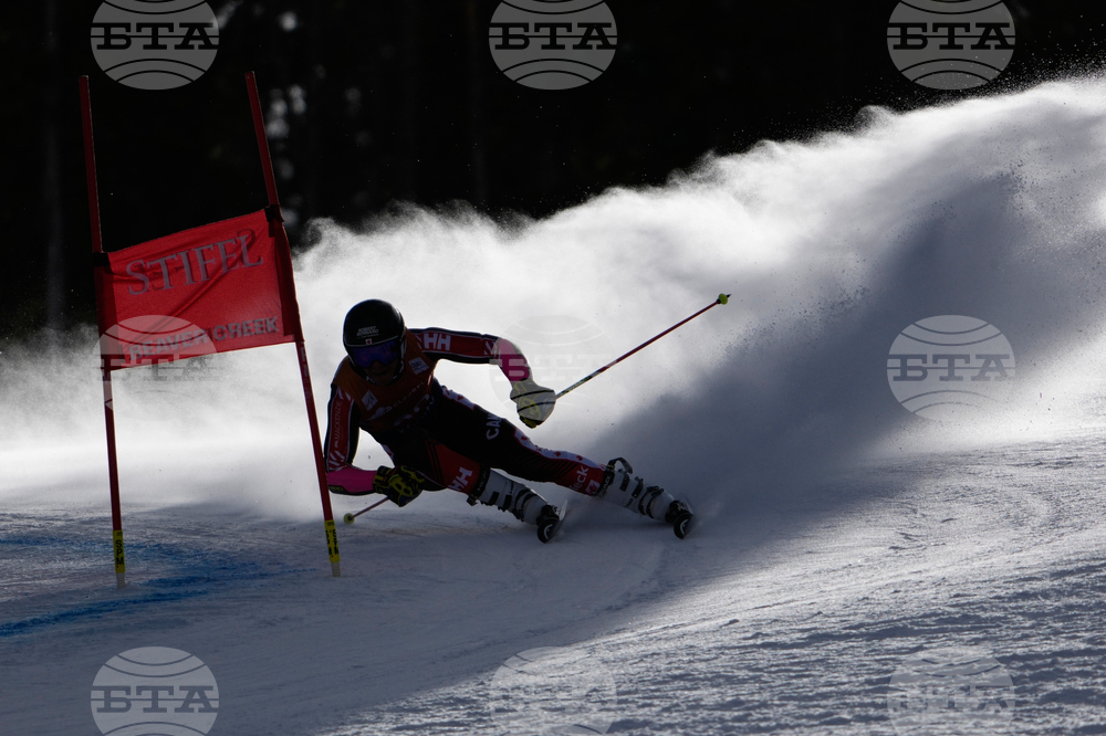 United States World Cup Giant Slalom Skiing