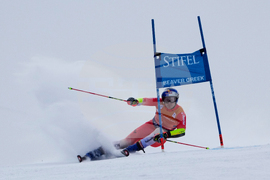 United States World Cup Giant Slalom Skiing