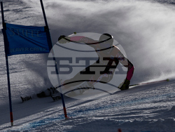 United States World Cup Giant Slalom Skiing
