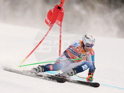 United States World Cup Giant Slalom Skiing