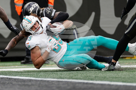 Dolphins Jets Football