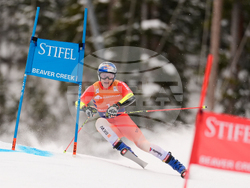 United States World Cup Giant Slalom Skiing