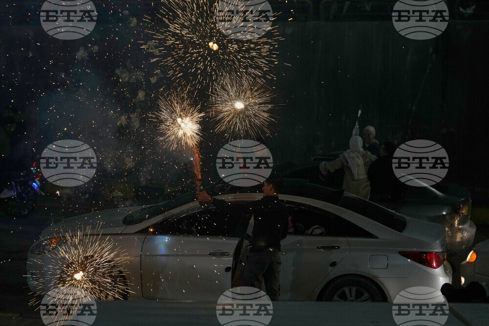 Syria Assad Fall Anniversary