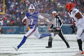 Bengals Bills Football