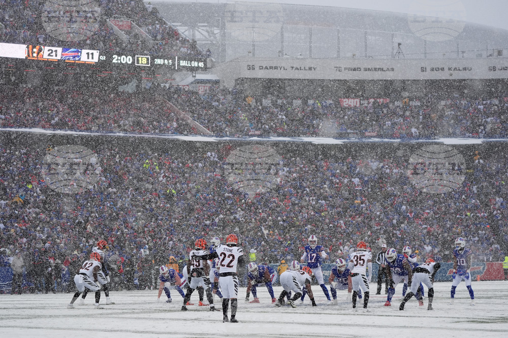 Bengals Bills Football