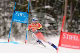 APTOPIX United States World Cup Giant Slalom Skiing