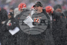 Bengals Bills Football