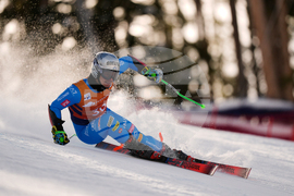 United States World Cup Giant Slalom Skiing