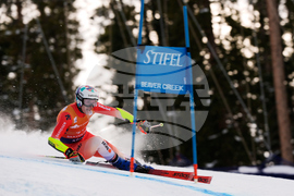 United States World Cup Giant Slalom Skiing